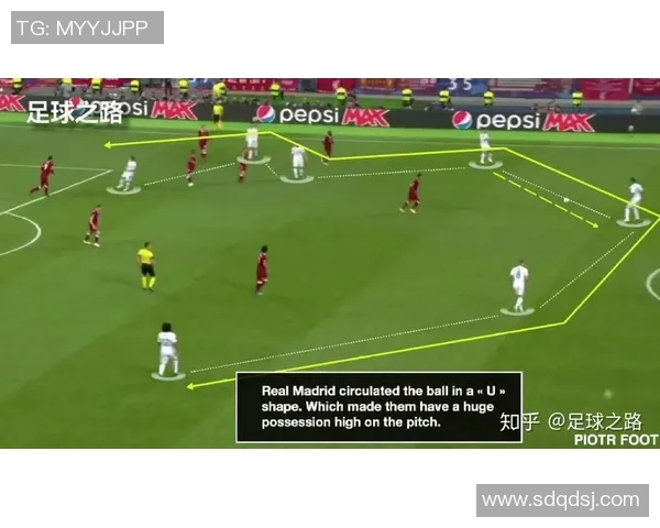 深圳排球队与西安排球队的战术灵活性深度分析与赛后复盘